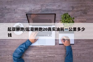 起亚狮跑/起亚狮跑20真实油耗一公里多少钱